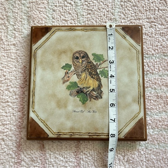 Owl Wall Art Tile Trivet Art 8.5”x8.5” - Picture 5 of 7